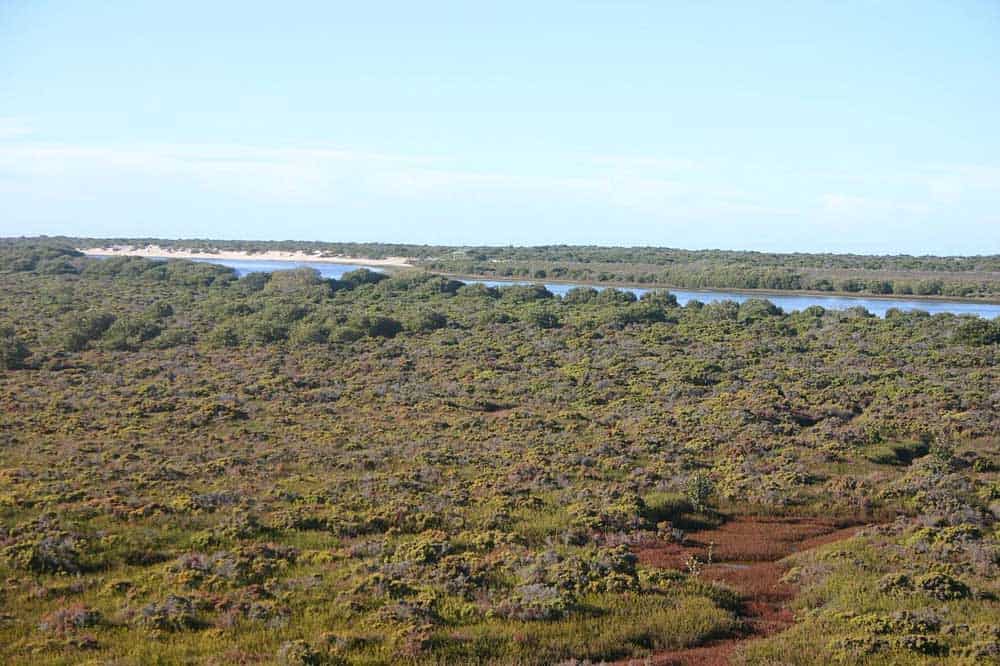 Acraman Creek Conservation Park