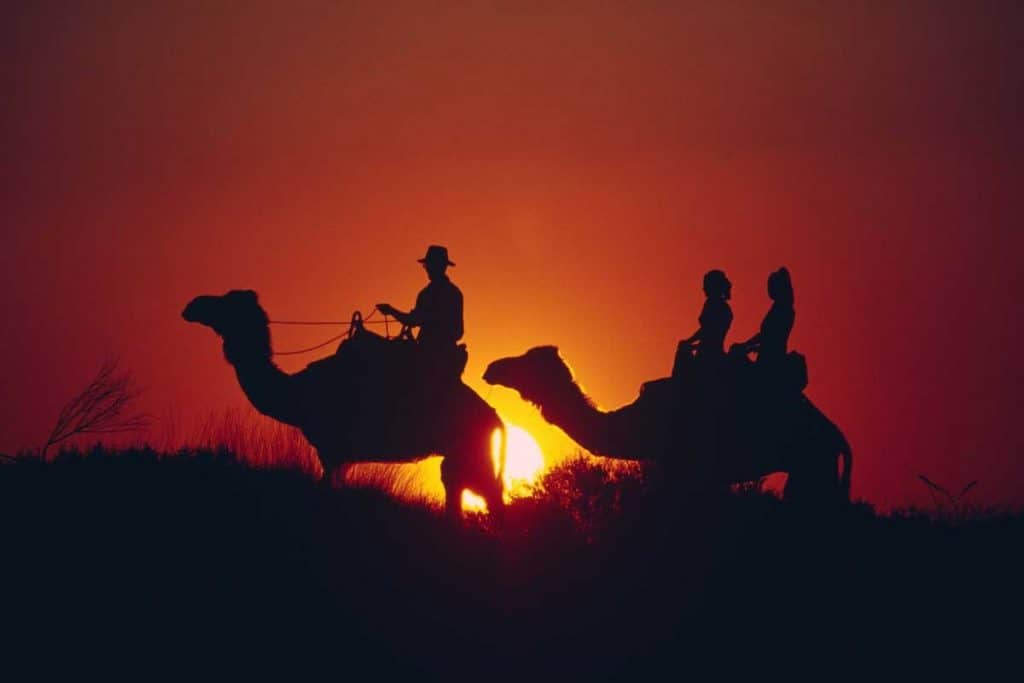 Camel riding during sunsets in Australia