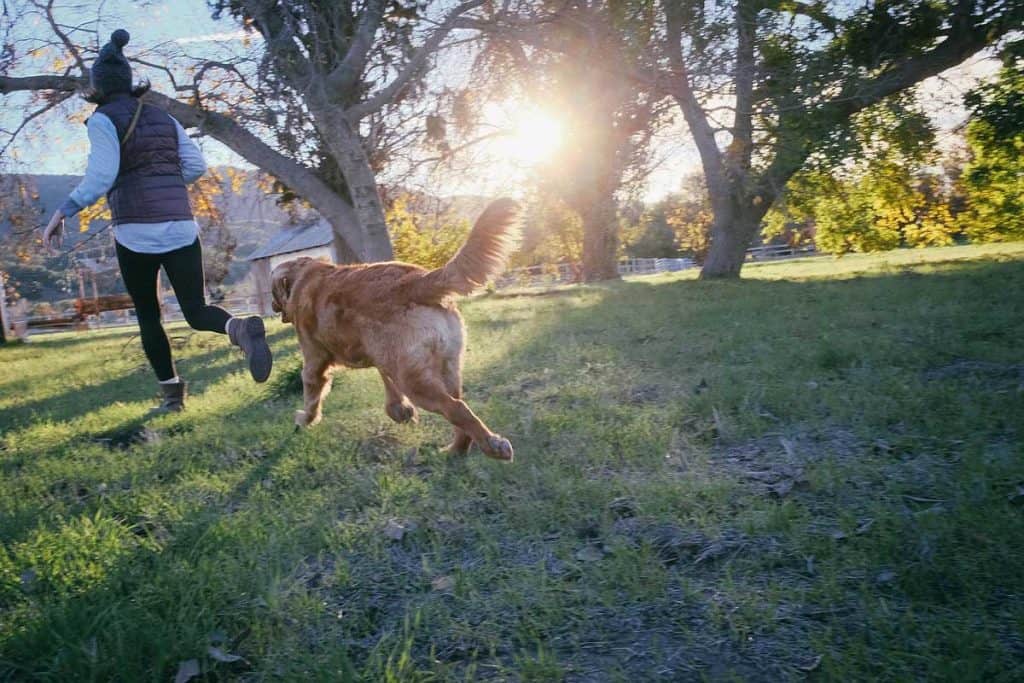 Girl running with dog in the woods