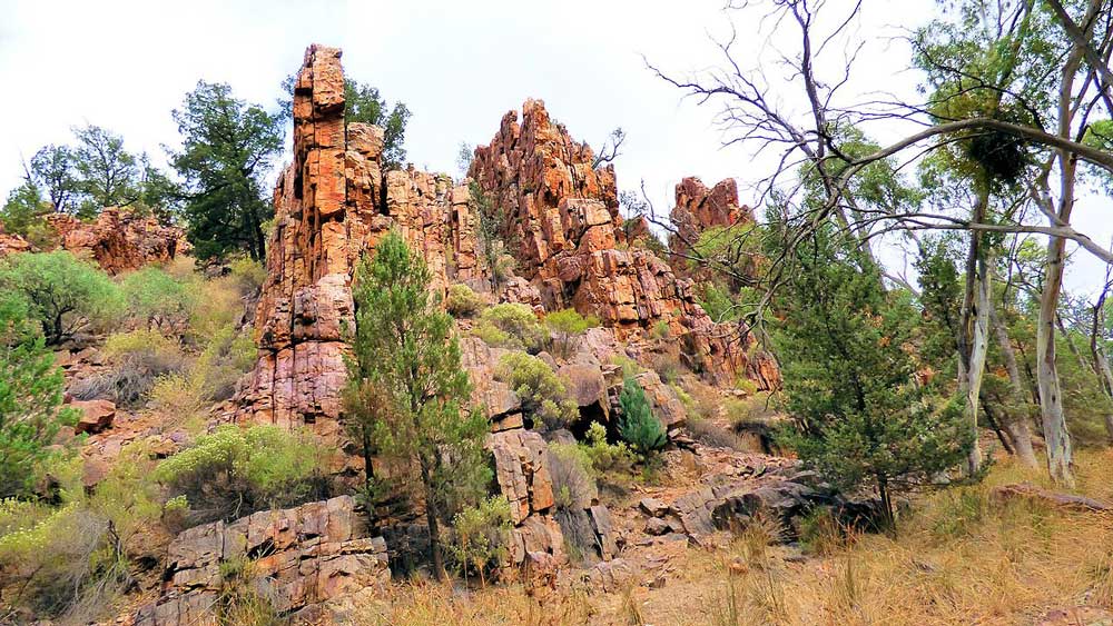 Ikara-Flinders Ranges National Park