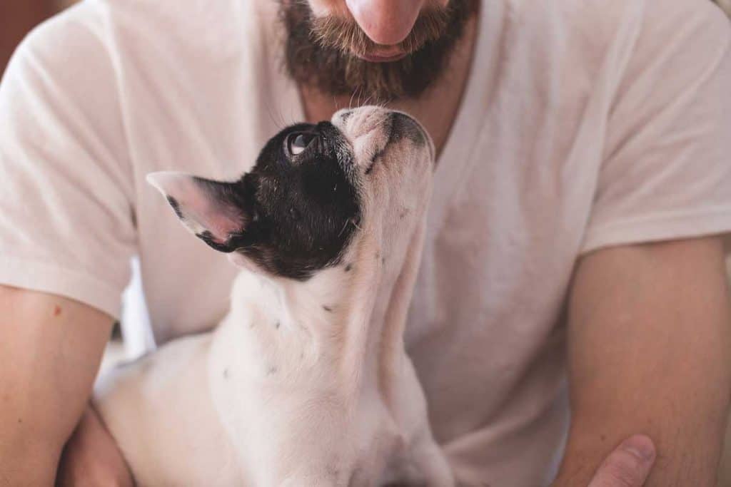 Man hugging his small dog