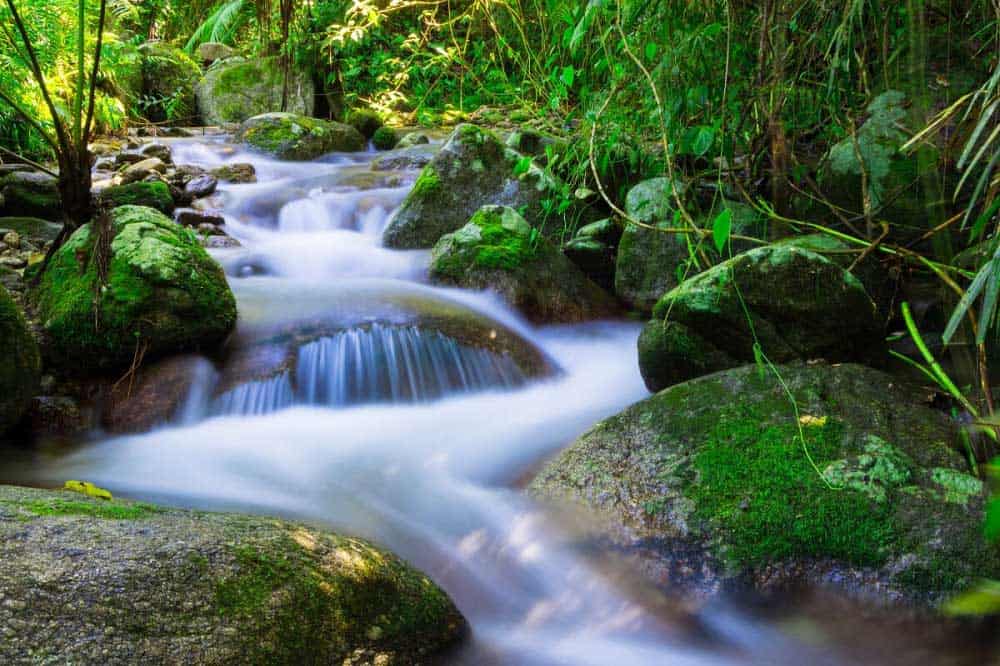 Wooroonooran National Park﻿, Camp Destinations Near Cairns